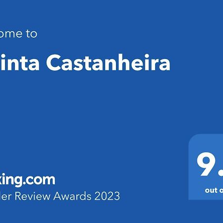 Апартаменты Quinta Castanheira Санта-Комба-Дан Экстерьер фото