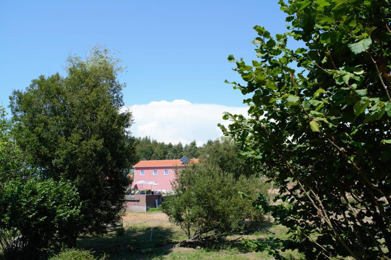 Апартаменты Quinta Castanheira Санта-Комба-Дан Экстерьер фото
